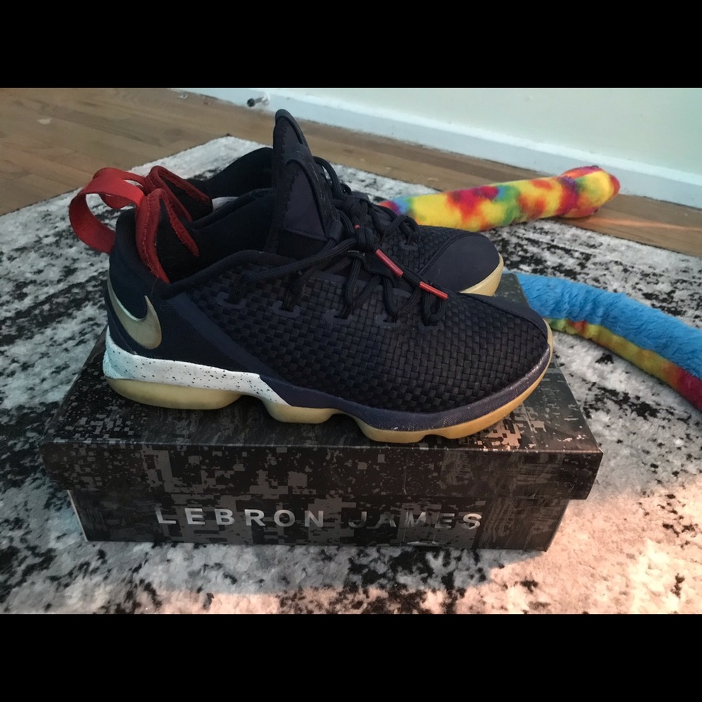 (Used) Nike LeBron XIV Low’s - Size 8.5